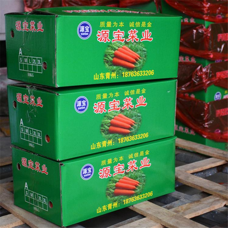 山东箱装胡萝卜价格 箱装胡萝卜大量批发