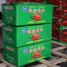 源宝食品常年批发供应箱装胡萝卜价格优惠 