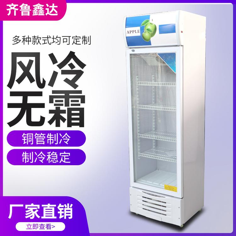 厂家直销啤酒柜 商用立式展示柜 饮料冷藏柜  单门 双门 三门啤酒展示柜
