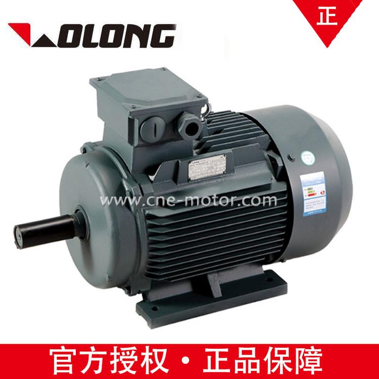 Wolong电气南阳防爆YE3-160-4高效率380V IP55低压三相异步电机