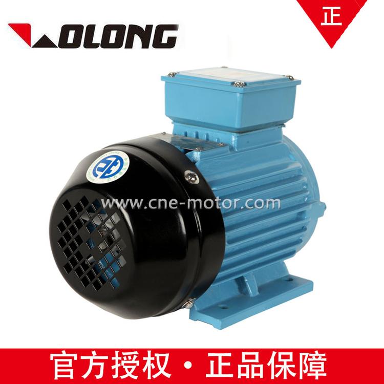 Wolong电气南阳防爆YE3-315-4高效率380V IP55低压三相异步电机
