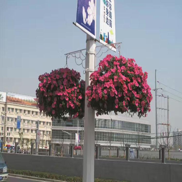 灯杆花盆 灯杆花球 垂吊花球 悬挂花盆 园艺花球 吊篮球 盛诺园艺