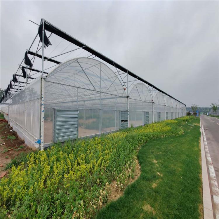 薄膜温室 温室大棚工程承建