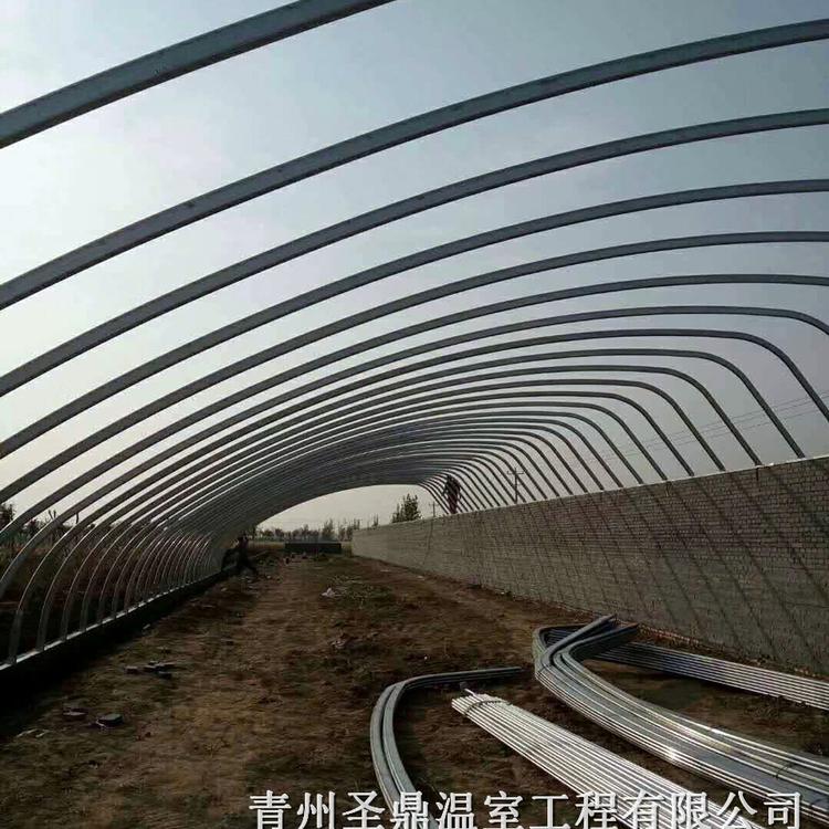 承建日光温室大棚 日光温室设计安装 山东日光温室建造公司
