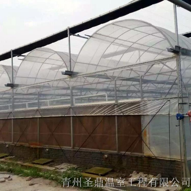 连栋大棚建造 连栋温室大棚_养殖用大棚  保温连栋大棚工程