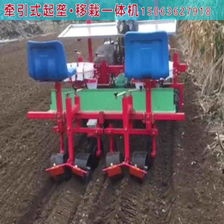 军岩多行牵引式药材移栽机 品质好的药材移栽机生产厂家
