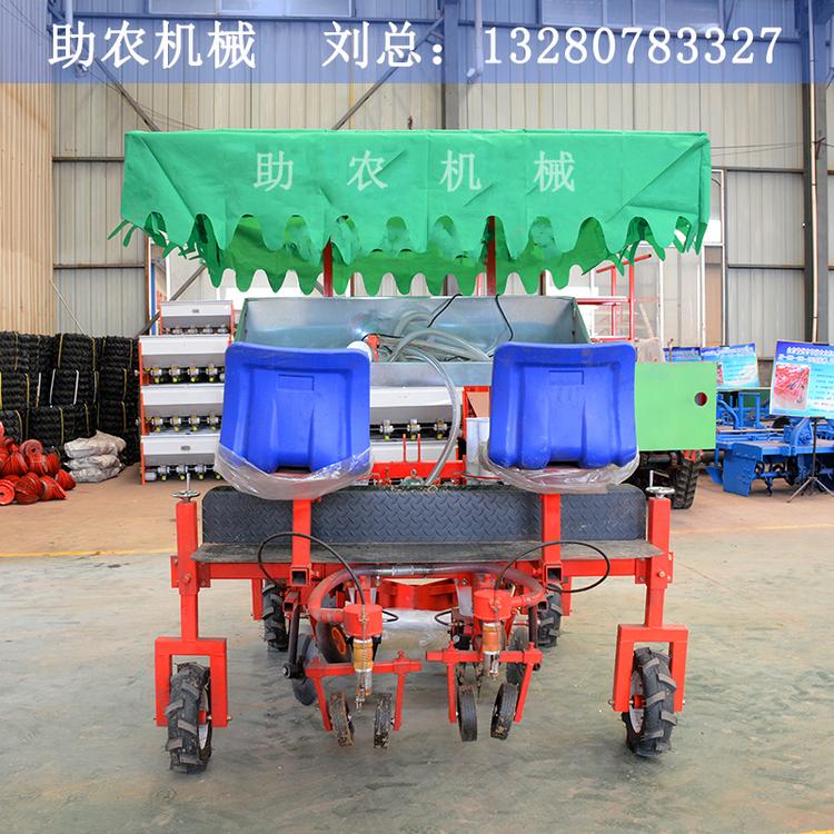 药材种植机 当归移栽机价格 助农直销菊花移栽机