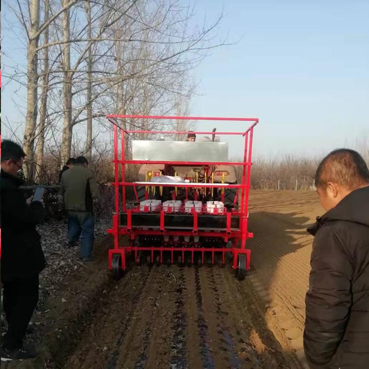 药材移栽机 药材种植机报价 苍术移栽机