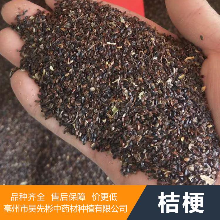 桔梗籽批发厂家 桔梗种苗基地 基地直销 直发