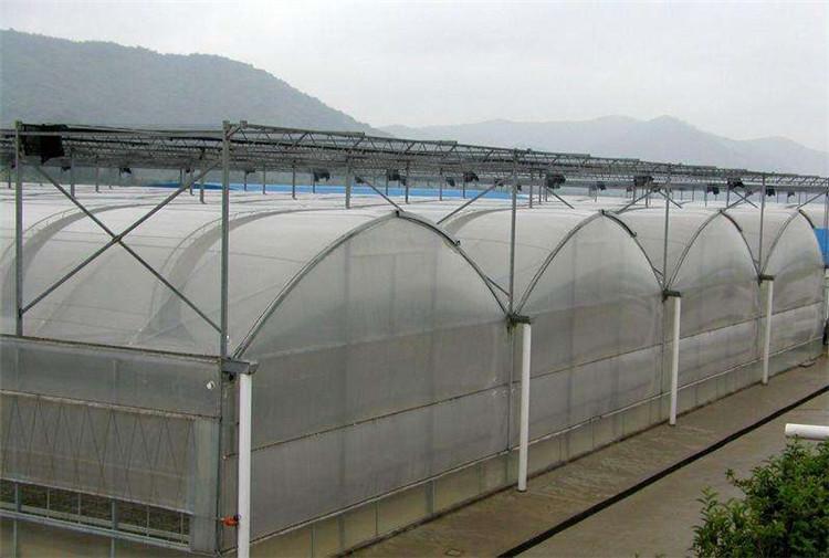 薄膜蔬菜温室  天之蓝温室  薄膜连体温室