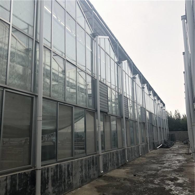 智能玻璃温室建造 园艺大棚安装   天之蓝温室