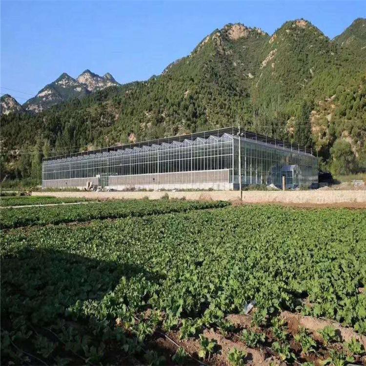 育苗智能温室大棚改造 青州鸿川 光伏智能温室承建