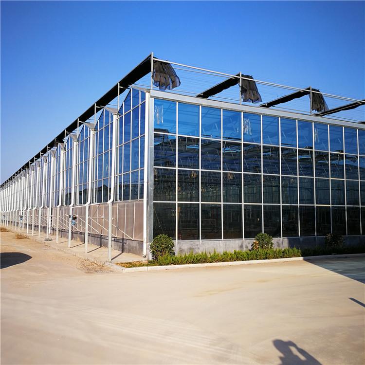 阳光板温室工程  温室大棚骨架 厂家报价