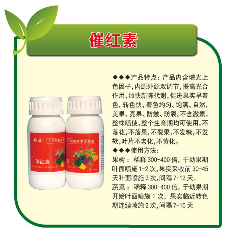 大量批发水果催红素   水果催红素批发商