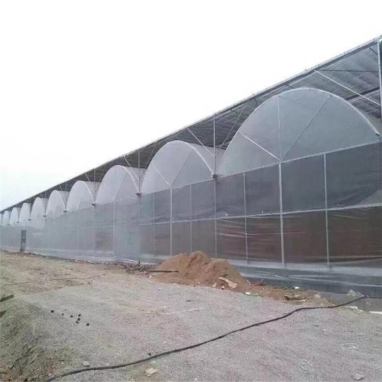 寿光温室大棚无土栽培-寿光大棚