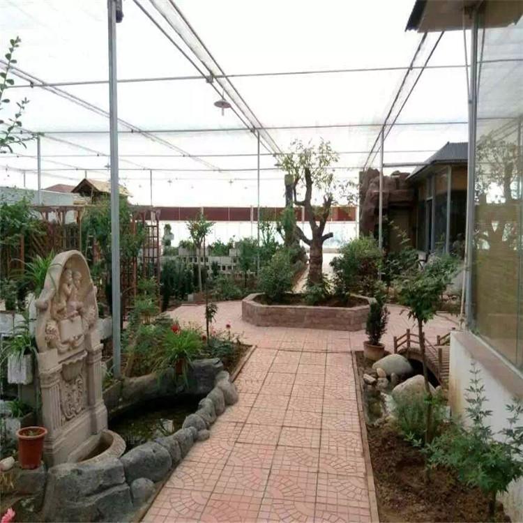 连栋温室大棚-连栋温室建设-连栋薄膜温室