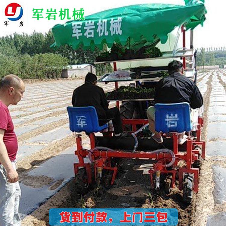 菜花移栽机 多功能蔬菜移栽机 厂家批发