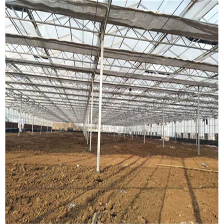 常年建造联动温室  联动温室建造项目