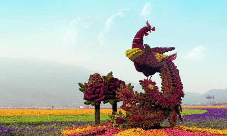 现货五色草绿雕花坛租摆定制