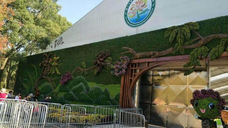 户外铁艺绿雕五色草花坛报价