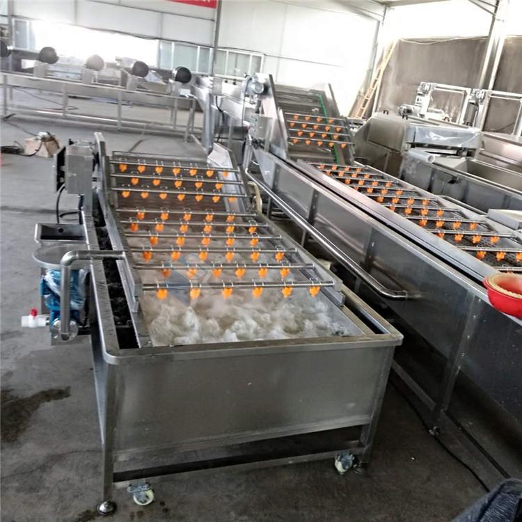 厂家供应蓝莓清洗机 不损伤果蔬表面的清洗流水线 质量保证
