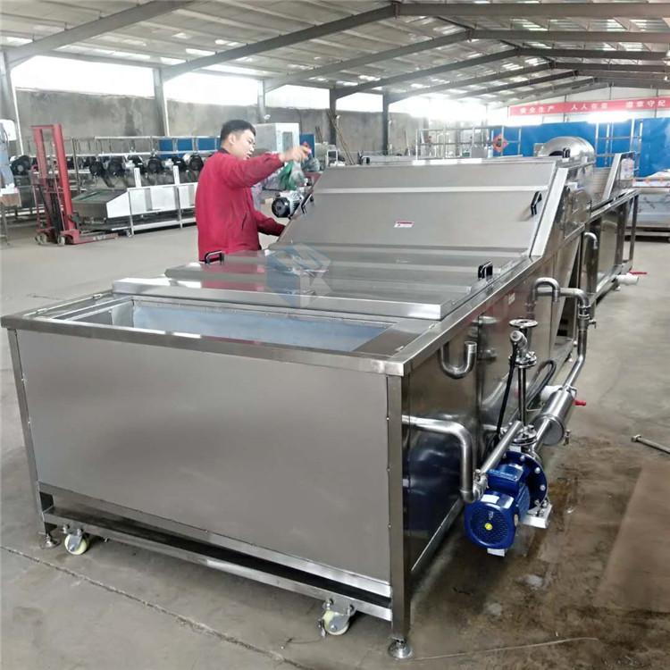扁豆清洗机 豆角漂烫生产线设备制作厂家 自动化操作一件启动
