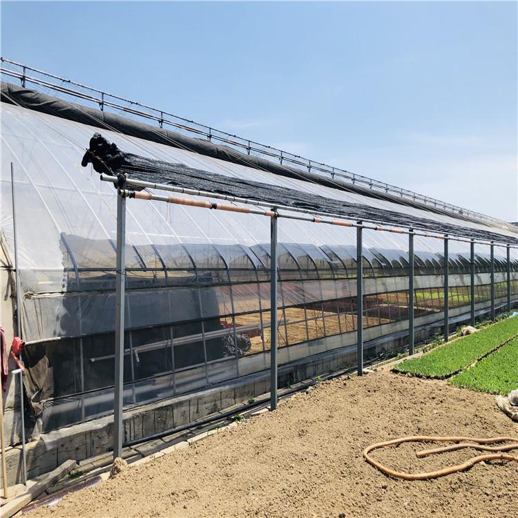 批量供应日光温室大棚骨架 节能日光温室搭建工程