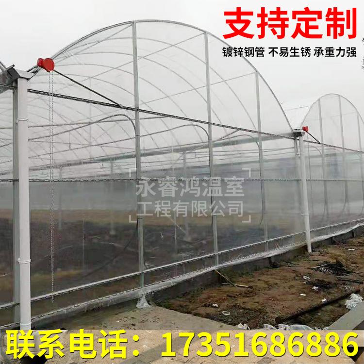 安阳温室大棚厂家销售温室大棚玻璃大棚玻璃温室大棚玻璃棚架温棚造价 钢架大棚 钢管大棚