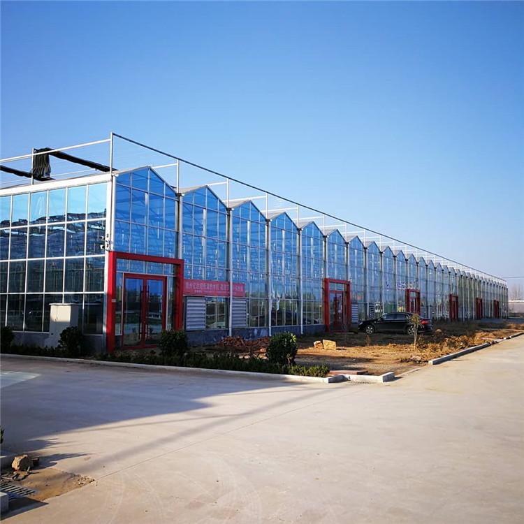 玻璃温室大棚 玻璃温室大棚建设工程