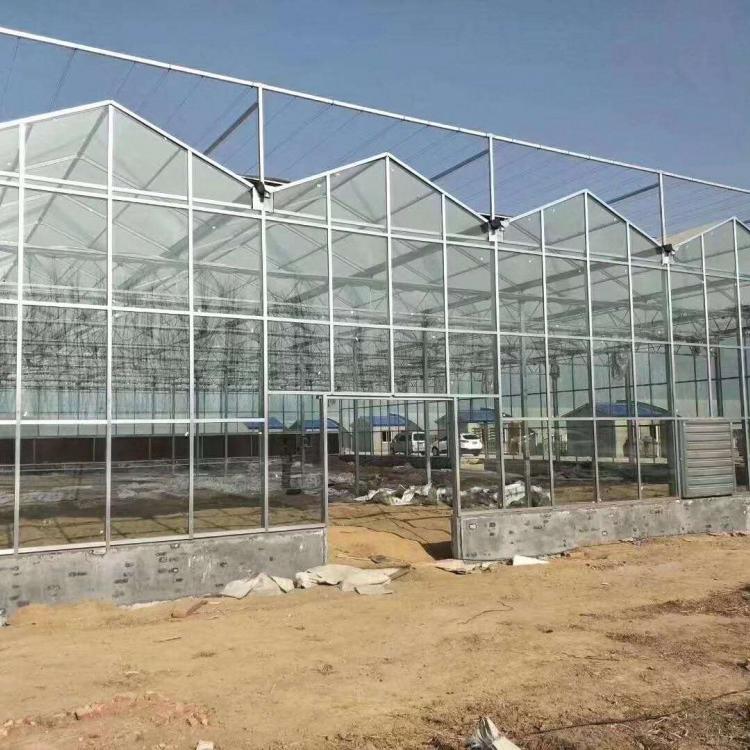 阳光板温室造价 建设阳光板温室工程