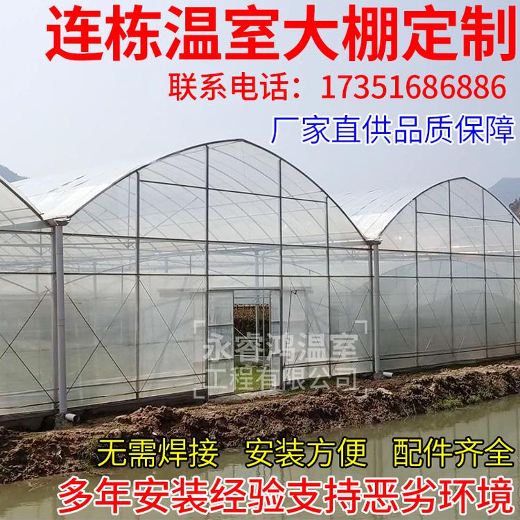 丽水新型草莓连体大棚葡萄大棚 草莓大棚智能连栋温室大棚农业大棚种植养殖连体大棚按需定制
