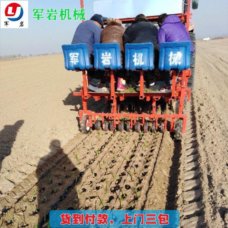 梅干菜移栽机 山东移栽机定制