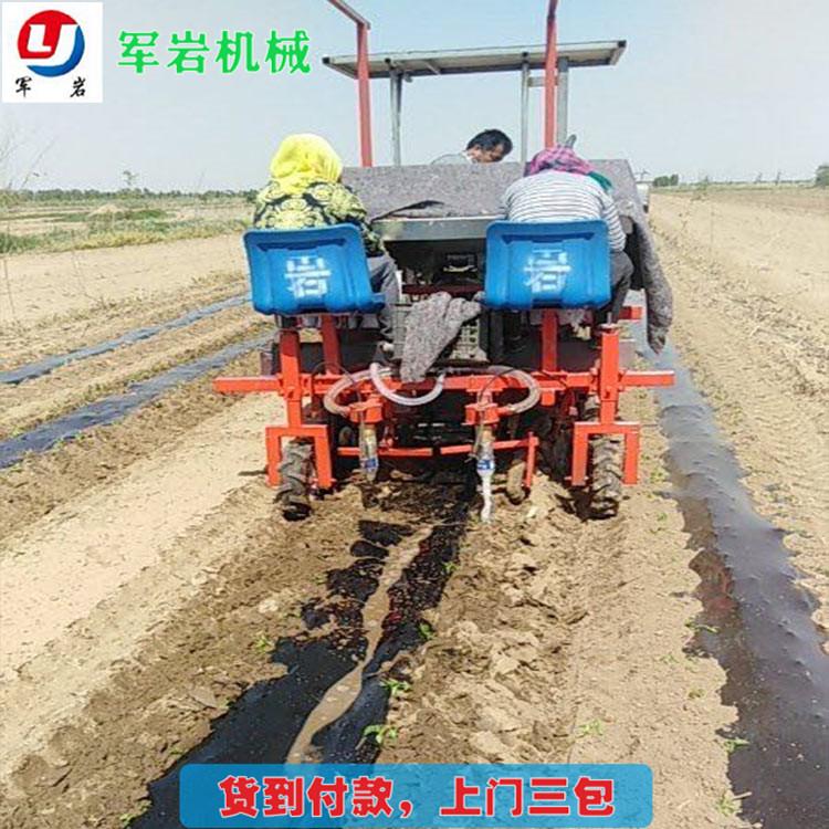 栽植机 军岩移栽机 多种型号可选 质优价廉