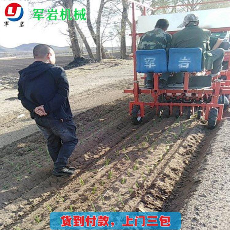 蔬菜栽植机 栽植机批发价格