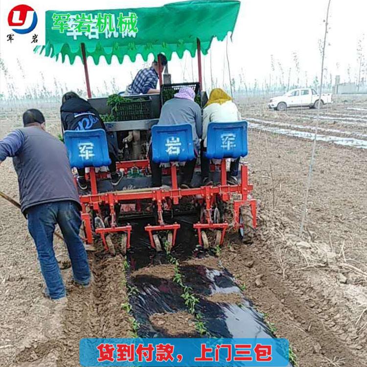 移栽机 口碑好的丹参艾草移栽机 厂家供应