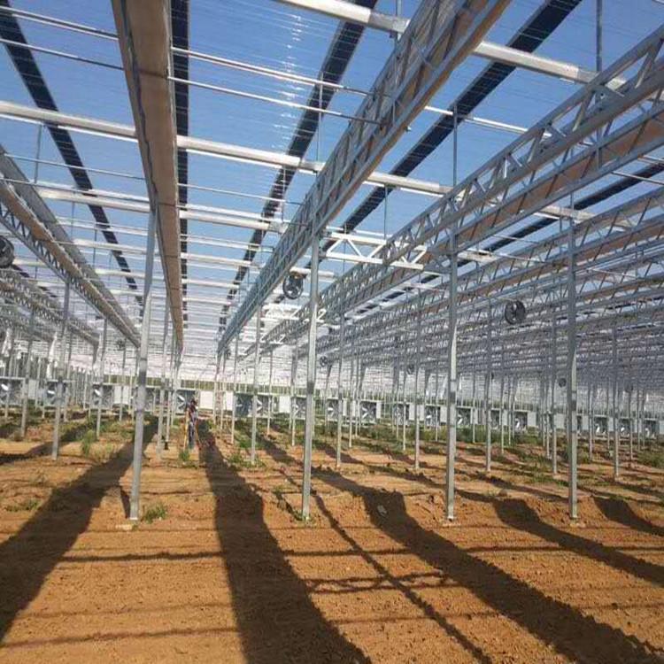 厂家供应阳光板温室大棚 连栋薄膜温室大棚 温室配件材料