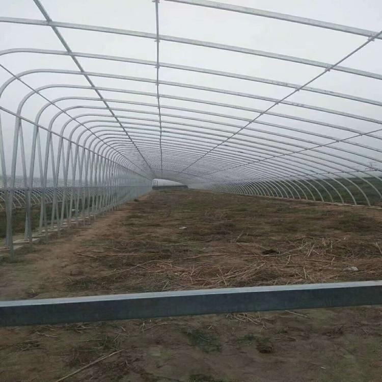 承建阳光板温室大棚  蔬菜大棚 薄膜温室大棚 温室配件材料