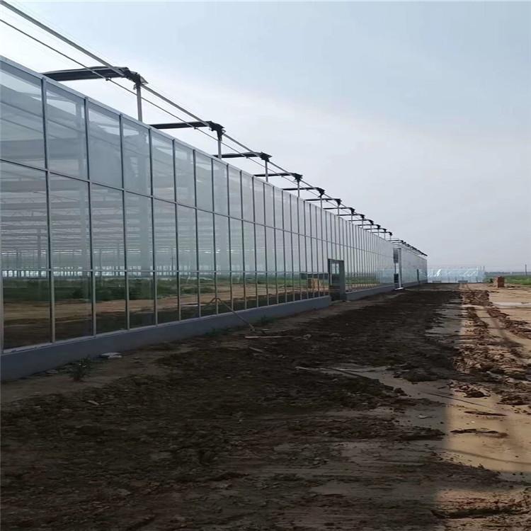 厂家支持定制玻璃温室 纹络智能玻璃温室工程 蔬菜大棚  推荐鋆成兴达