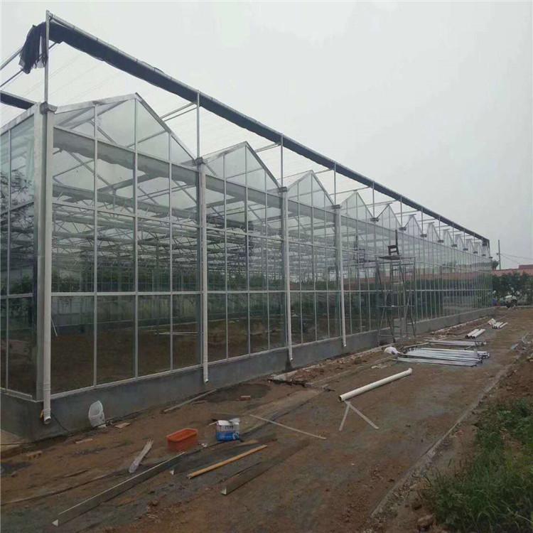 批量供应玻璃温室大棚骨架 玻璃温室搭建