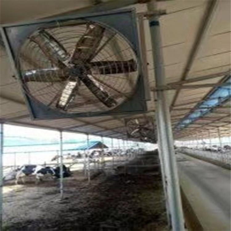 山东多面体直销各种型号牛舍风机 型号齐全 质优价廉 全国发货