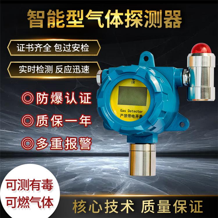 天然气探测器_汇瑞埔在线式无显示天然气探测器_制造商