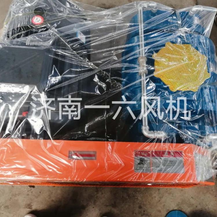 双油箱水冷型污水处理罗茨风机气力输送罗茨鼓风机熔喷布罗茨鼓风机厂家