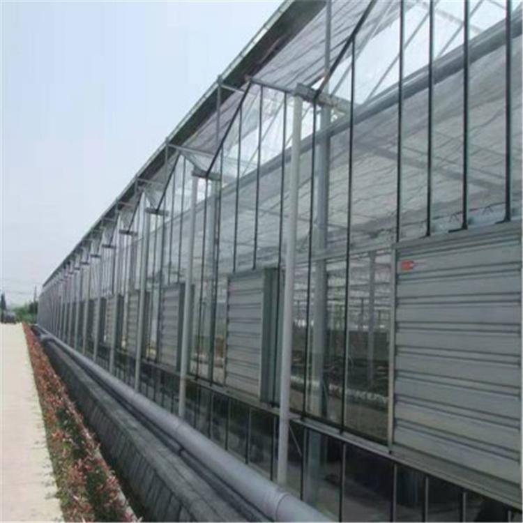 连栋玻璃温室 智能玻璃温室承建 智能玻璃温室建设