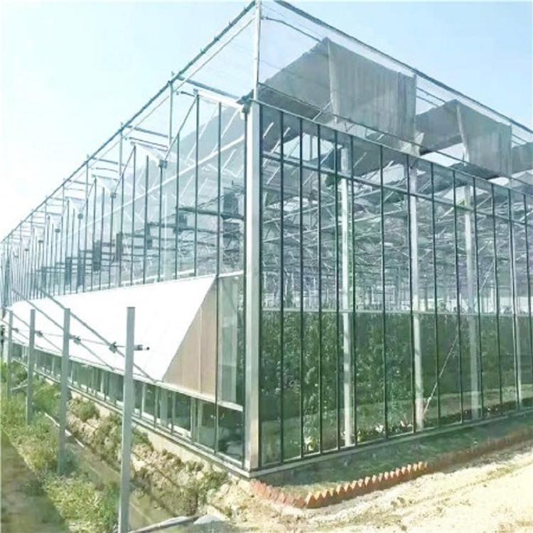 玻璃温室大棚工程 湖南玻璃温室建造公司 设计安装玻璃温室