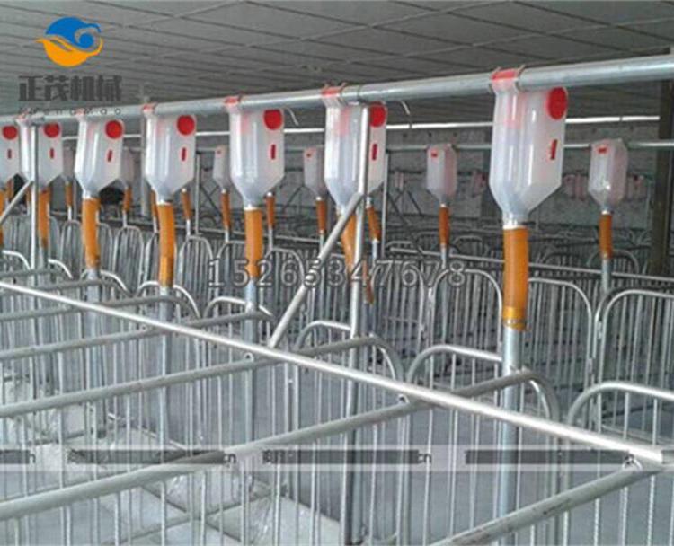 猪舍自动料线    设备自动化料线     品质保证物美价廉