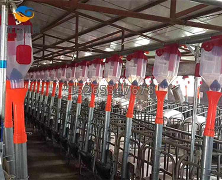 自动饲养喂料线      养殖场专用料线    作业效率高精准控制