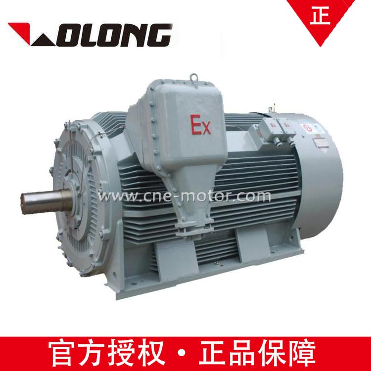 卧龙南阳防爆电机厂YBS450-6 220kw高压隔爆型水冷电动机