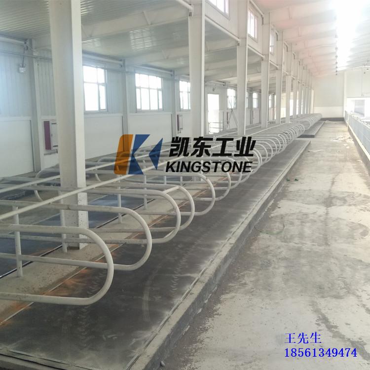 牛卧床垫_青岛凯东牧场专用防滑垫_通道垫减震耐磨