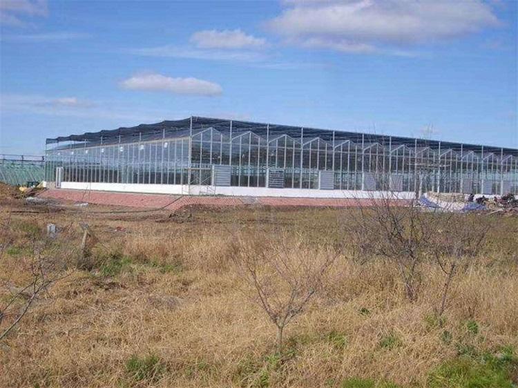 玻璃温室 青州玻璃温室建造 玻璃温室报价 玻璃温室承建