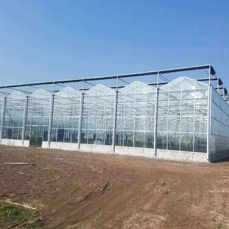 阳光板温室设计 阳光板温室工程 鸿川温室